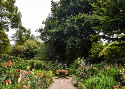 Un jardin unique et qui vous ressemble : Astuce pour créer votre environnement extérieur personnel
